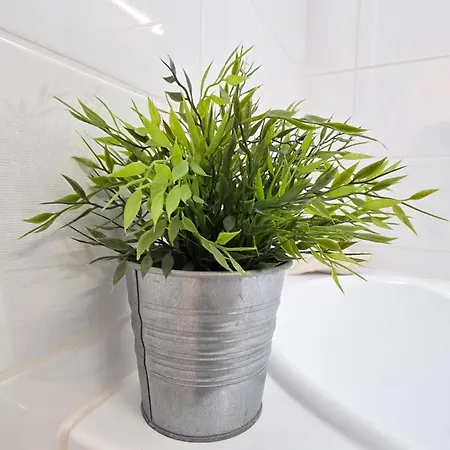 Your Away From 2 Kolozsvár