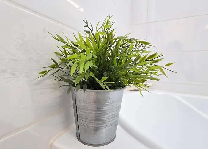 Your Away From 2 Kolozsvár