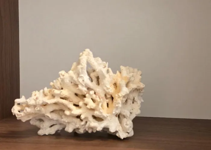 Your Away From 2 Apartman Kolozsvár