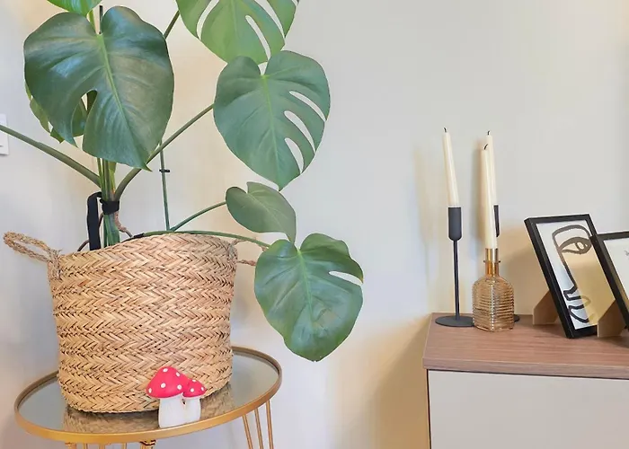 Apartman Your Away From 2